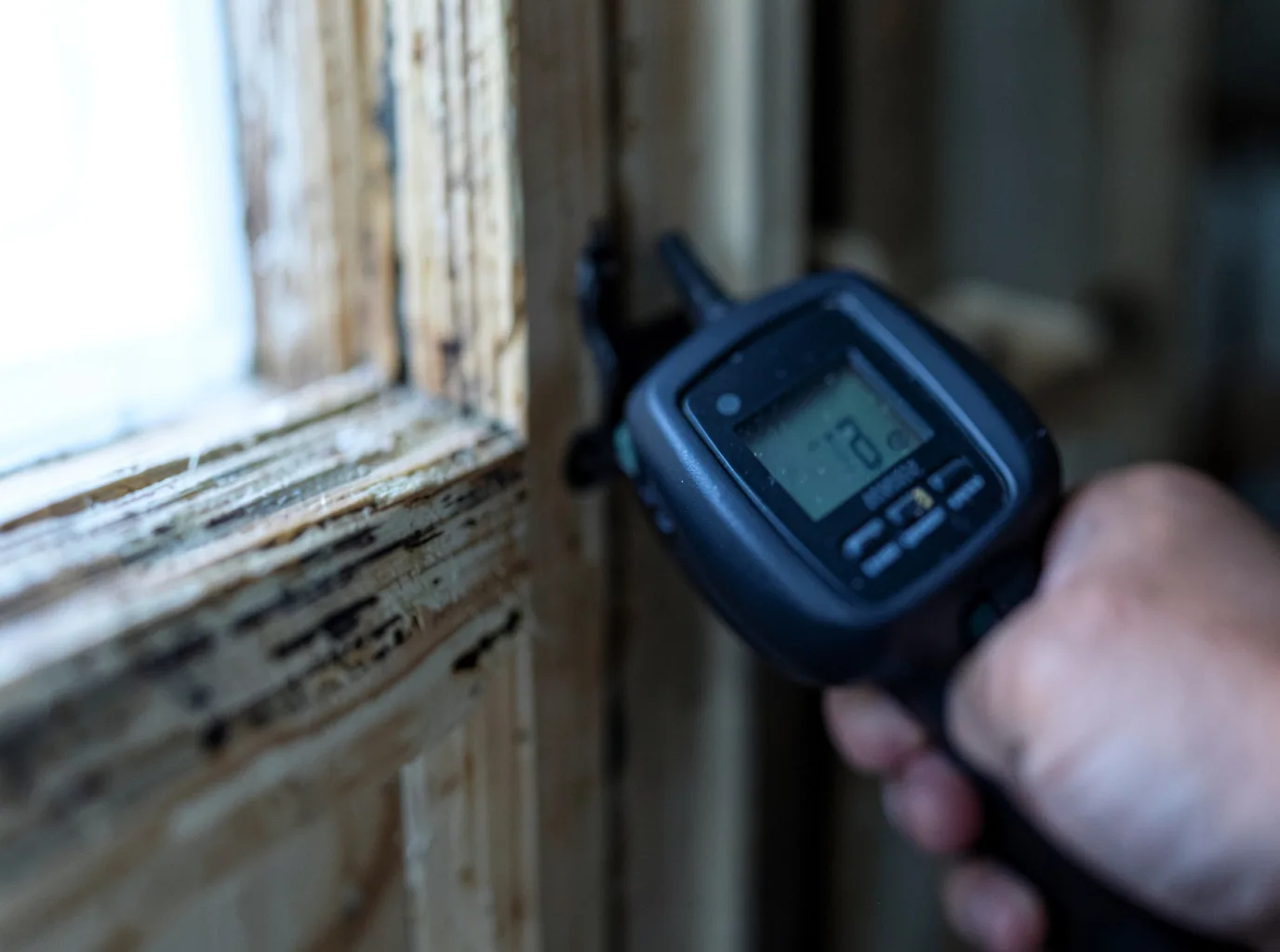 Moisture Inspection And Documentation in Wiley, CO
